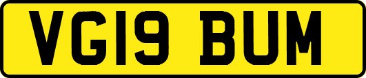 VG19BUM