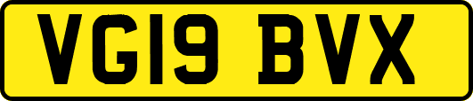VG19BVX