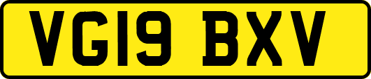 VG19BXV