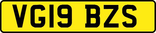 VG19BZS