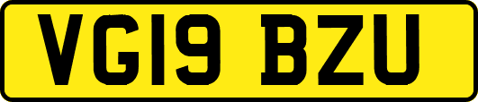 VG19BZU