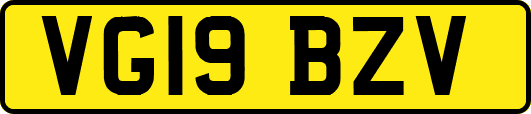 VG19BZV