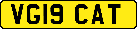 VG19CAT