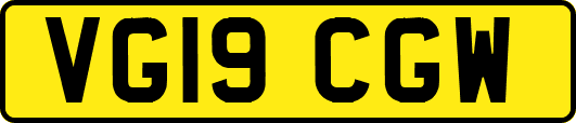VG19CGW