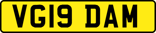 VG19DAM