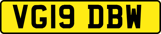VG19DBW