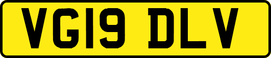 VG19DLV
