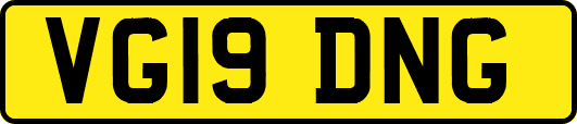 VG19DNG