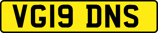 VG19DNS