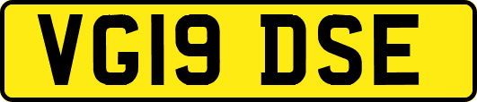 VG19DSE