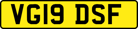 VG19DSF