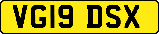 VG19DSX