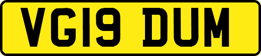 VG19DUM