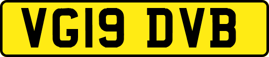 VG19DVB