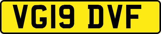 VG19DVF
