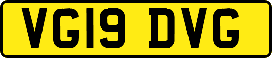 VG19DVG