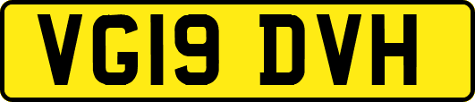 VG19DVH