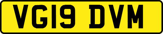 VG19DVM