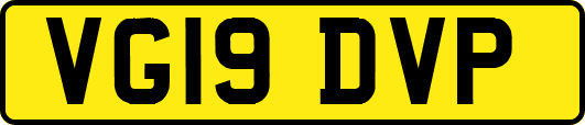 VG19DVP