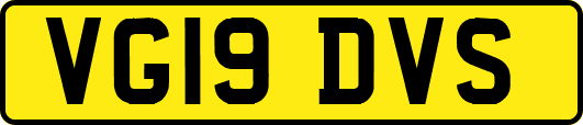 VG19DVS