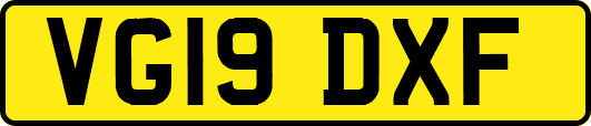 VG19DXF