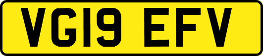VG19EFV