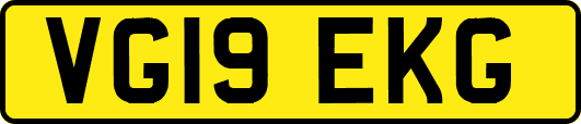 VG19EKG