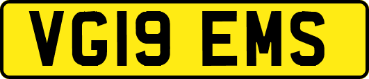 VG19EMS