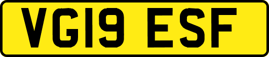 VG19ESF