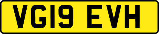 VG19EVH