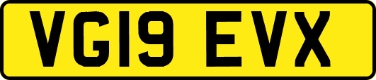 VG19EVX