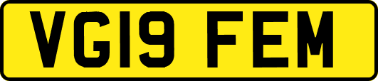 VG19FEM