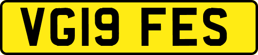VG19FES