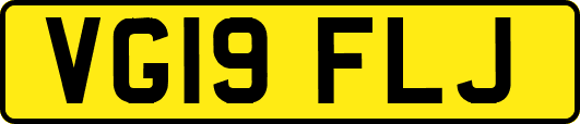 VG19FLJ