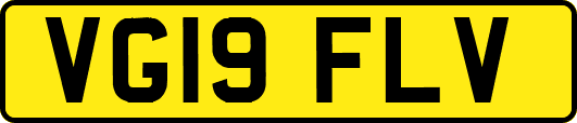 VG19FLV