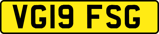 VG19FSG