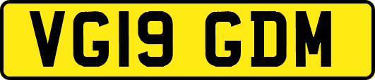 VG19GDM