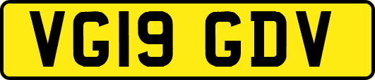 VG19GDV