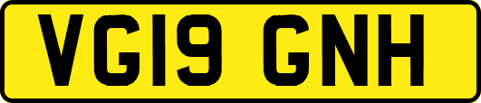 VG19GNH