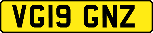 VG19GNZ