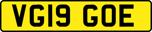 VG19GOE