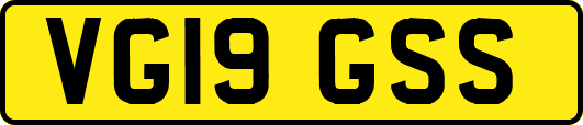 VG19GSS