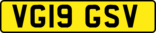 VG19GSV
