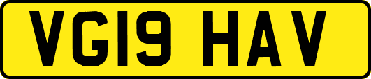 VG19HAV