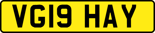 VG19HAY