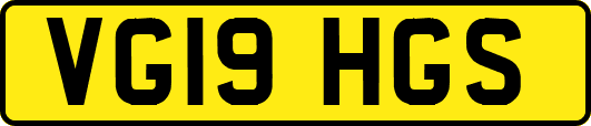 VG19HGS
