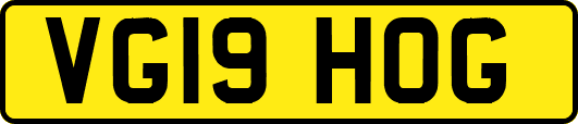 VG19HOG