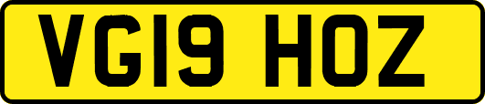VG19HOZ