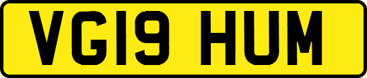 VG19HUM