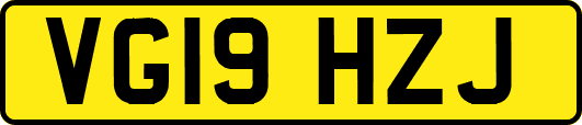 VG19HZJ